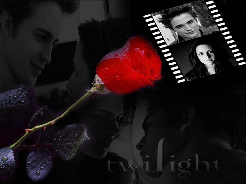 Edward Bella Twilight Valentines Day HD wallpaper | Pxfuel