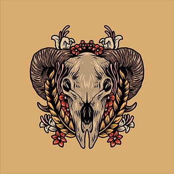 Goat skull HD wallpapers | Pxfuel