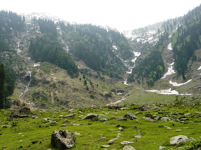 Vallée de Betaab Cachemire, vallée de Fond d'écran HD
