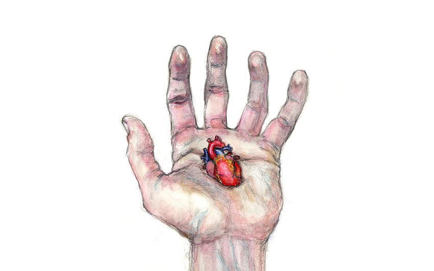 Anatomie du coeur Fond d'écran HD