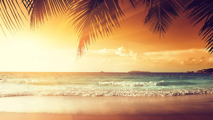 Tropical beach with palm trees at sunset u, mobile beach u HD wallpaper ...