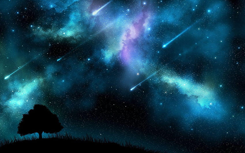 Meteor shower at night, blue sky, trees silhouette, perseid meteor shower 2019 HD wallpaper