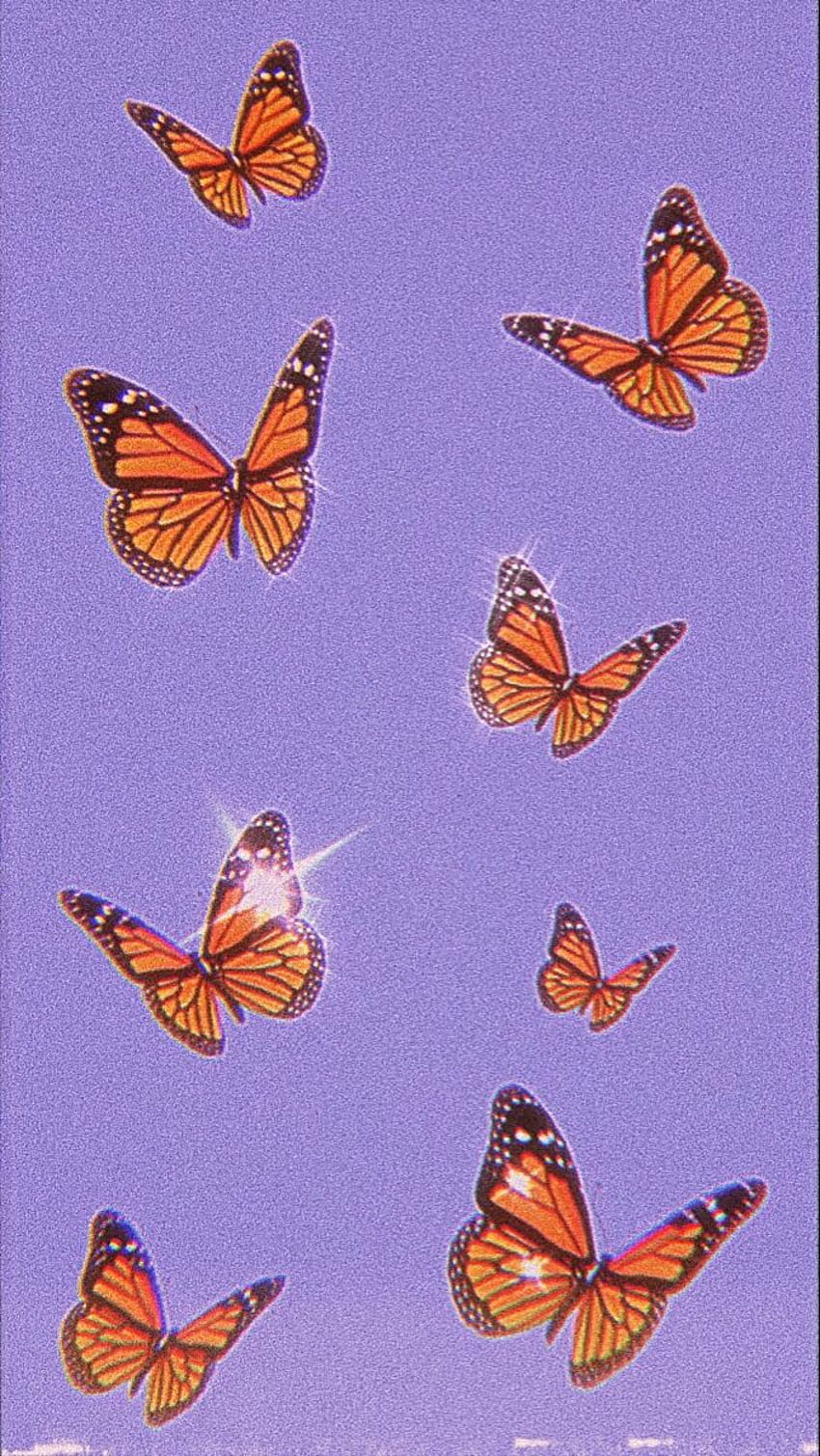 kupu-kupu oranye dan ungu wallpaper ponsel HD