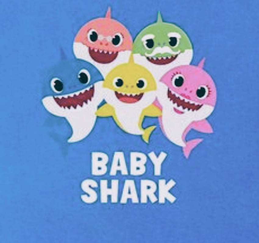 Baby Shark, pinkfong papel de parede HD