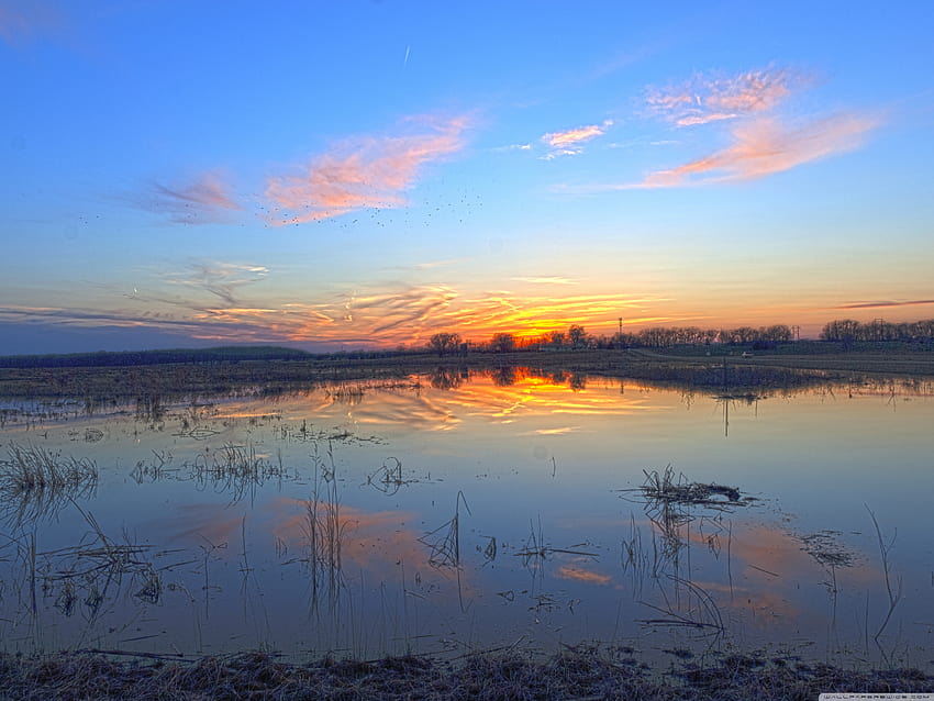 Baker Wetlands, Kansas ❤ for Ultra TV HD wallpaper