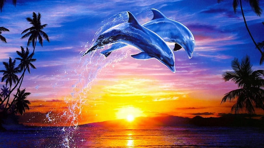 Dolphins Jumping Sunset Transparent HQ, animal dolphin HD wallpaper