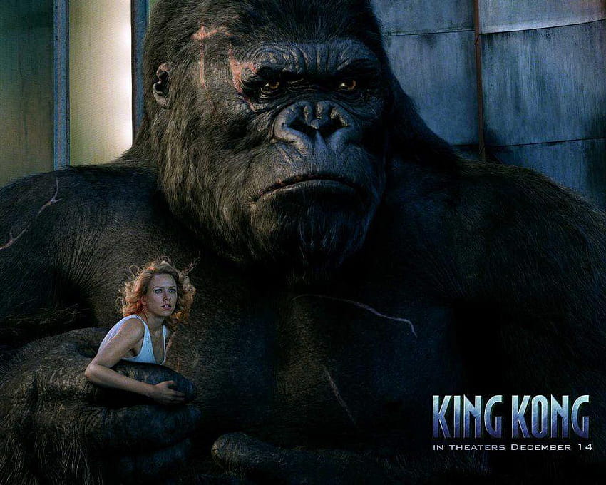 Tim Lucas / Video WatchBlog: Einige Gedanken zu Peter Jacksons KING KONG, King Kong 2005 HD-Hintergrundbild