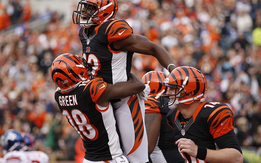 Cincinnati Bengals nfl football sports wallpaper, 2560x1440, 1177803