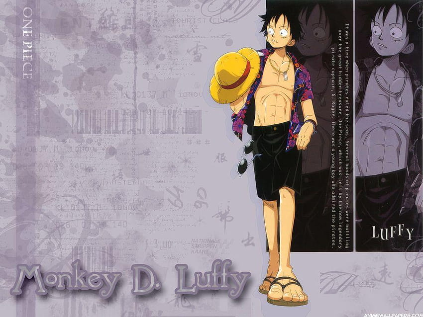 monkey d luffy - one piece wallpaper  วอลล์เปเปอร์อะนิเมะ, อนิเมะ,  วอลเปเปอร์