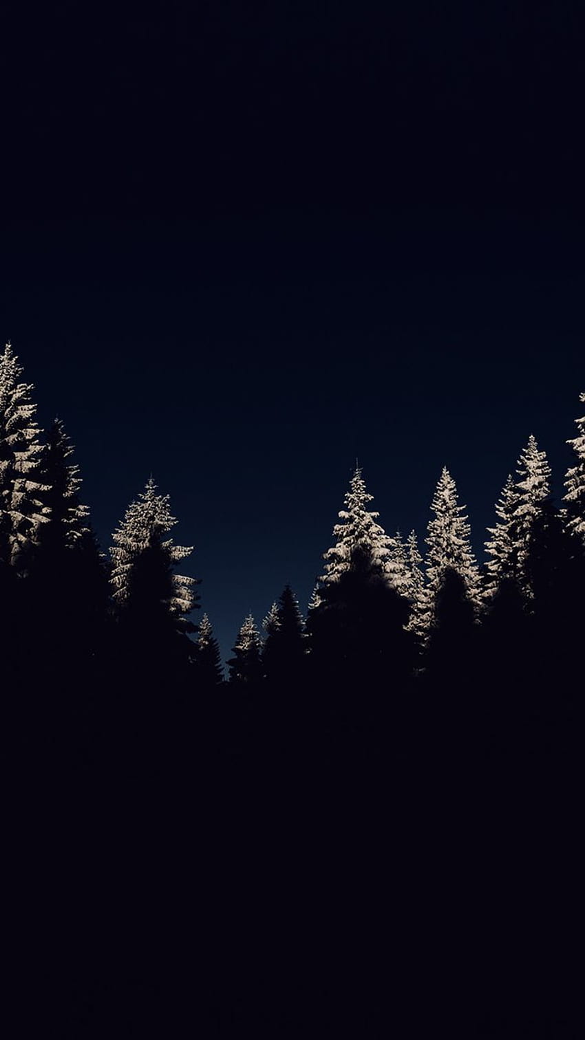 나무 겨울 밤 산 어두운 아이폰 월페이퍼, 겨울 밤 전화 HD 전화 배경 화면