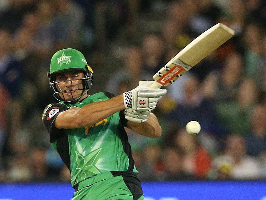 He's an absolute weapon': Warne heaps praise on Stonis, marcus stoinis HD wallpaper
