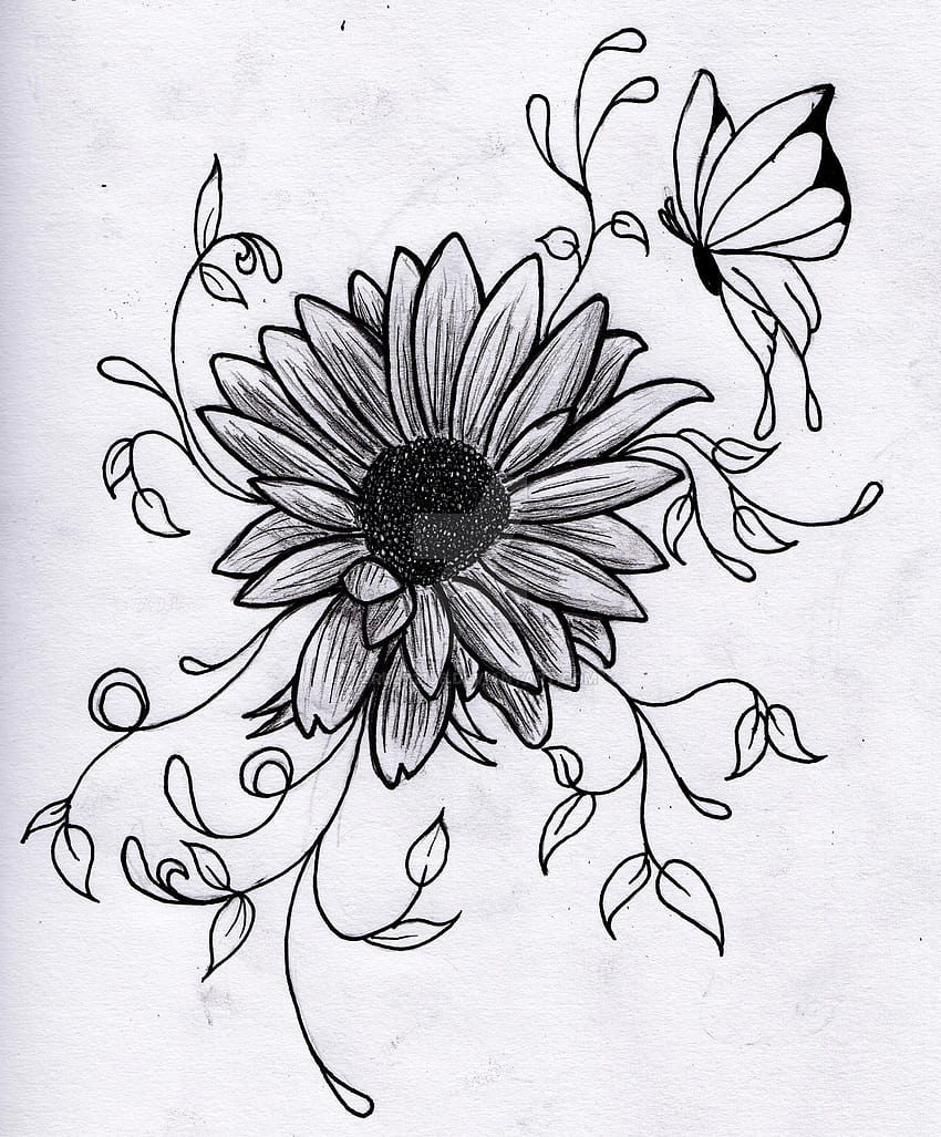 Transparent Flower Drawing Tumblr Clip Art Clip Art on Clipart Library HD  phone wallpaper  Pxfuel