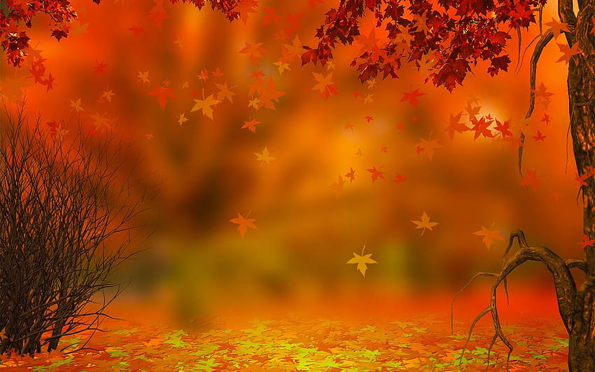Thanksgiving Backgrounds, thanksgiving landscape HD wallpaper