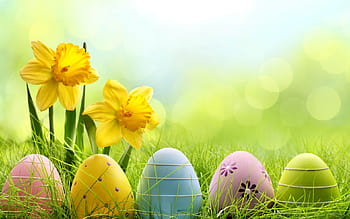 Hình nền Cute Easter (hoạt hình): Easter là một ngày lễ vô cùng ý nghĩa và cũng rất đáng yêu. Hình nền Cute Easter (hoạt hình) sẽ mang đến cho bạn một màn hình máy tính đầy lòng yêu thương và niềm vui đầy màu sắc. Với những con thỏ đáng yêu và những quả trứng phong cách, ảnh nền này sẽ đem đến cho bạn một ngày mới đầy năng lượng.