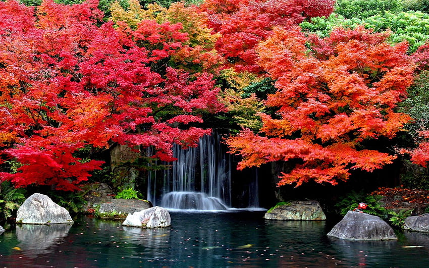 Autumn Falls Backgrounds 1629361 2560x1600 HD wallpaper | Pxfuel