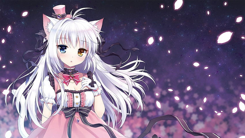 anime, Gadis Anime, Gadis Kucing, Heterochromia, Nekomimi, Asli, gadis anime putih Wallpaper HD