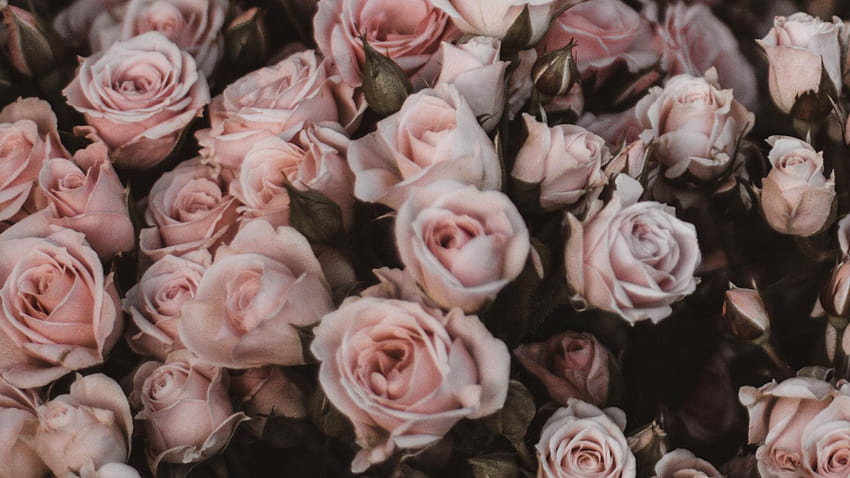 1920x1080 roses, bouquet, flowers, light pink, light pink peonies bouquet HD wallpaper