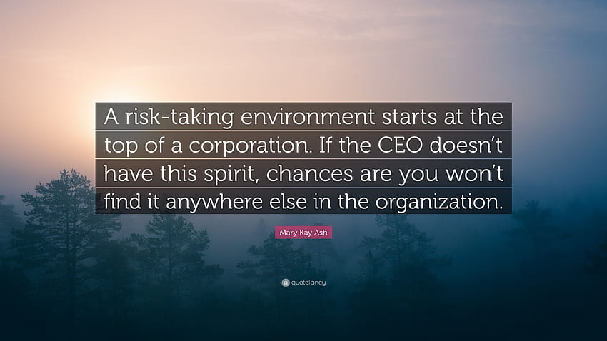 Mary Kay Ash Quote: “A risk HD wallpaper