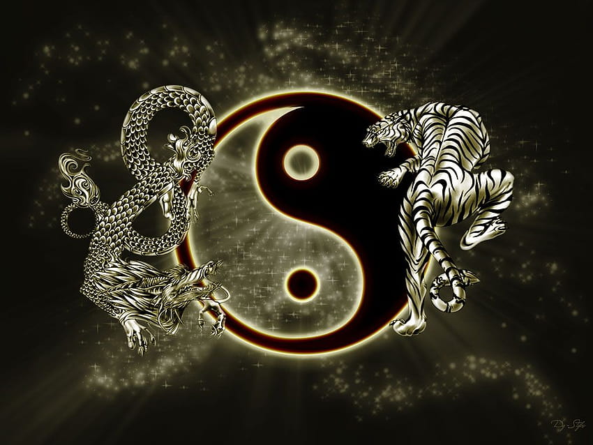 Yin Yang, kung fu symbol HD wallpaper