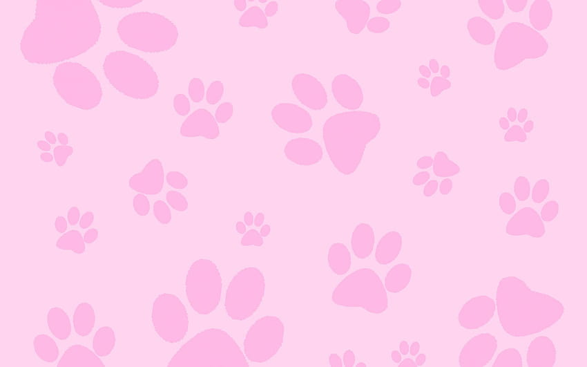 pink dog bone wallpaper