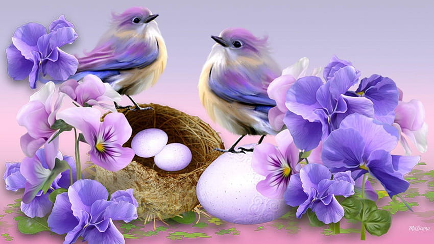 Flor: Sensación primaveral Pensamientos Pájaros Lavanda Huevos de Pascua Púrpura, canasta de lavanda fondo de pantalla