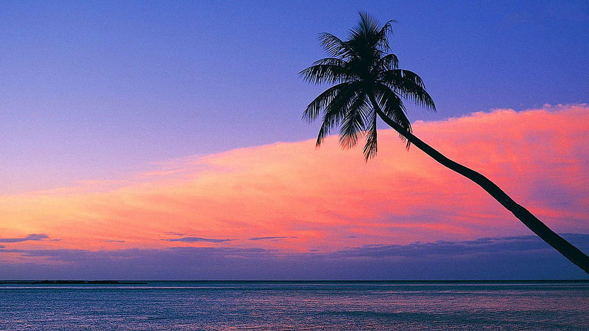Regardez le coucher de soleil rose depuis la plage, arrière-plans macbook Fond d'écran HD