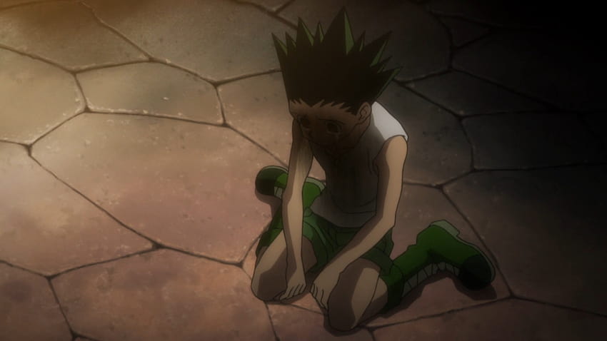 Gon and the 5 Stages of Grief. An in, gon sad HD wallpaper