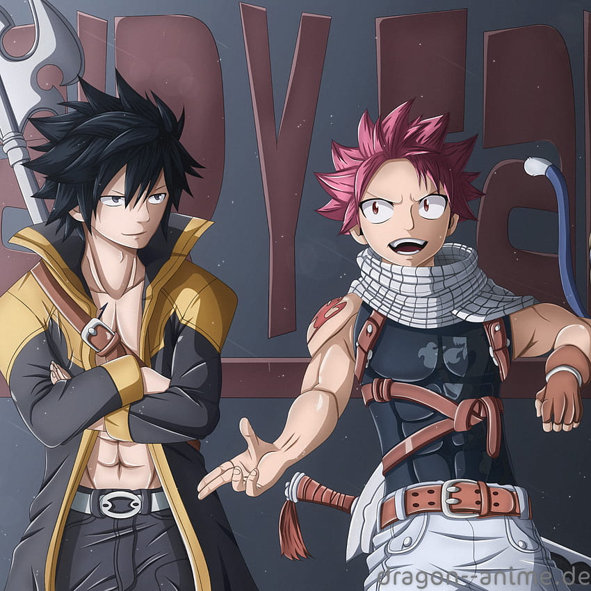 Fairy Tail Natsu Dragneel iPad 2 3 4 iPad Mini 1 2 3 4 iPad Air 1 2