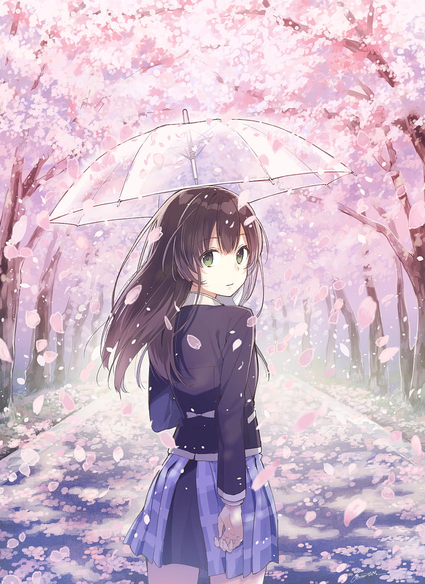 Gadis Anime Bunga Sakura, gadis bunga sakura wallpaper ponsel HD