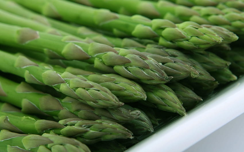 stock of appetite, asparagus, calories HD wallpaper
