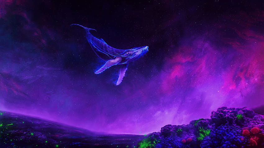 紫、空、クジラ、動物、煙と背景、空のクジラ 高画質の壁紙
