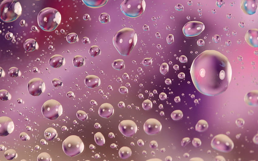 Glass with Water Drops Against Light Purple Backgrounds, glass with drops of water HD wallpaper