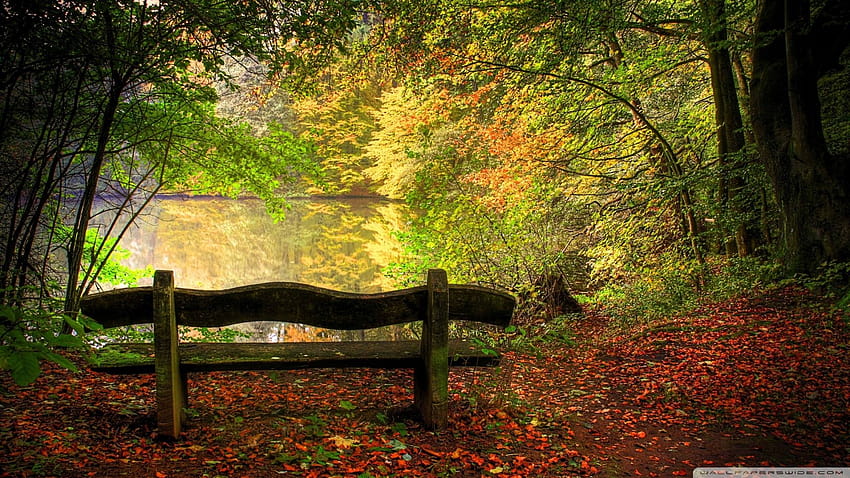 Empty Bench In Fall Scene 1920x1080, early autumn mountains HD wallpaper