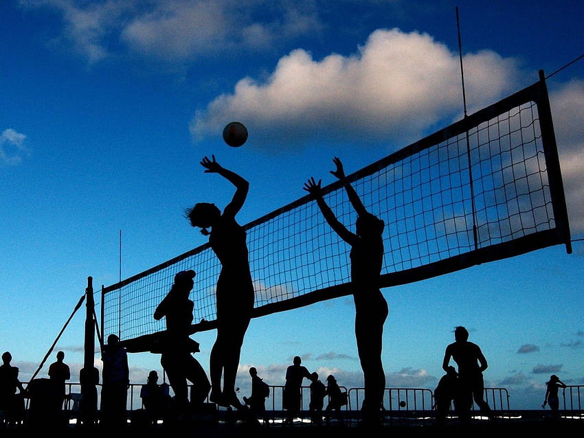 Your Ultimate Guide To Volleyball Equipment, volleyball court backgrounds  HD wallpaper | Pxfuel