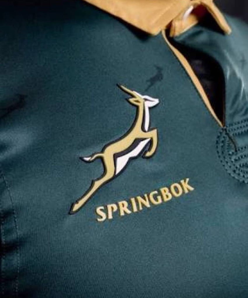 Springbok rugby por PjB2708 ...zedge fondo de pantalla del teléfono