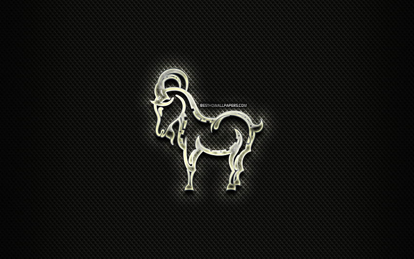 Signo de vidrio de cabra, zodiaco chino, abstracto negro, calendario chino, ilustraciones, signo del zodiaco de cabra, signos de animales, cabra, signos del zodiaco chino, creativo, zodiaco de cabra con una resolución de 2560x1600. Cabra negra de alta calidad fondo de pantalla