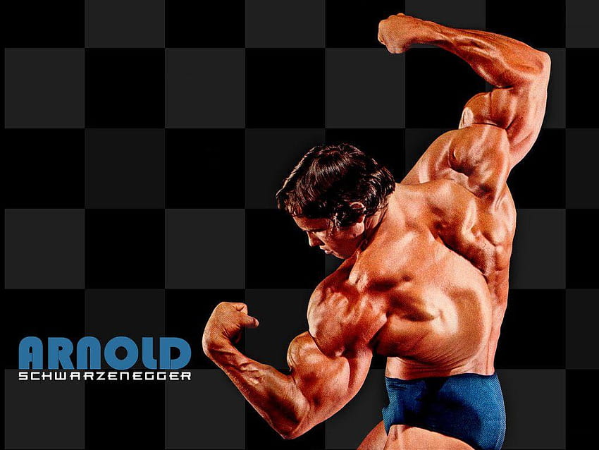 arnold bodybuilding wallpaper conquer