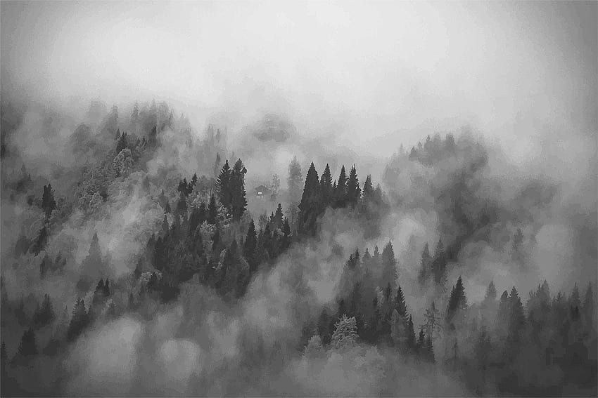 Fog Forest , Foggy Hills Mural, hazy HD wallpaper