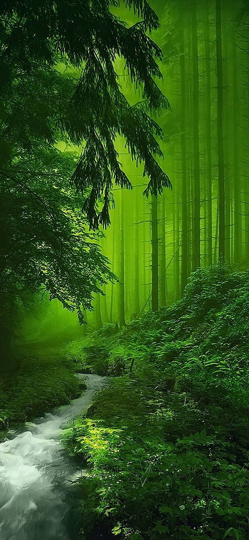 โมบายธรรมชาติสีเขียว วอลล์เปเปอร์โทรศัพท์ HD