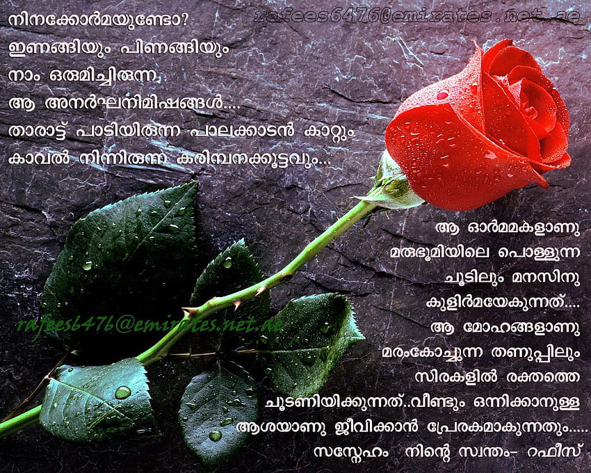 Unique Love Failure Quotes In Malayalam with, malayalam love HD wallpaper |  Pxfuel