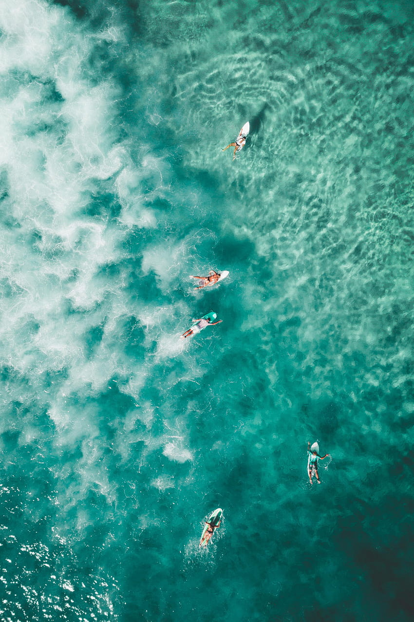 Bondi Beach Surfers Android HD-Handy-Hintergrundbild