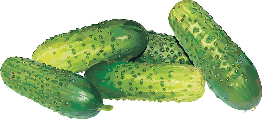 Best 5 Cucumber Backgrounds on Hip HD wallpaper