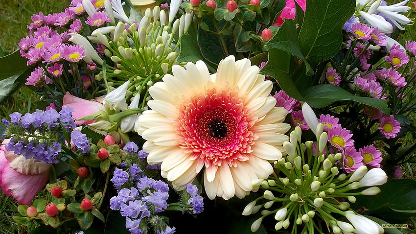 ช่อดอกไม้ฤดูใบไม้ผลิ Barbaras [2560x1440] for your , Mobile & Tablet, ช่อดอกไม้ วอลล์เปเปอร์ HD