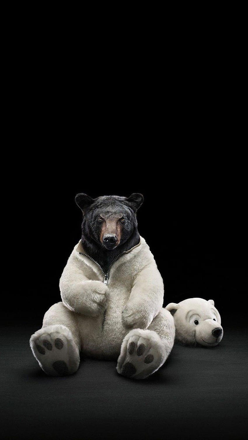 Black Bear Inside Polar Bear Costume Android, white bear HD phone wallpaper