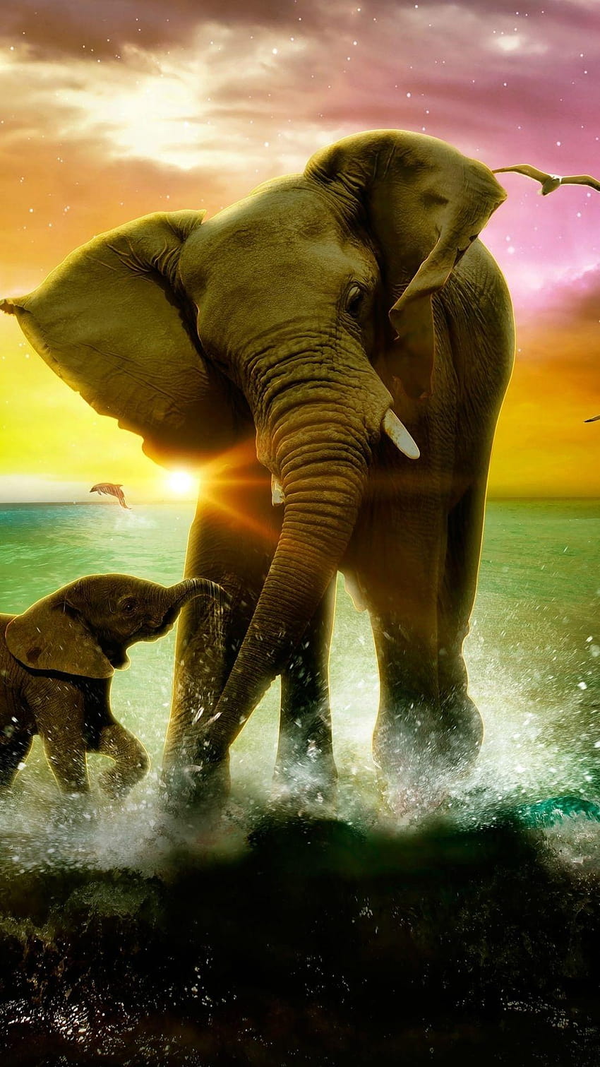 Słoń Iphone, afrykański słoń android Tapeta na telefon HD