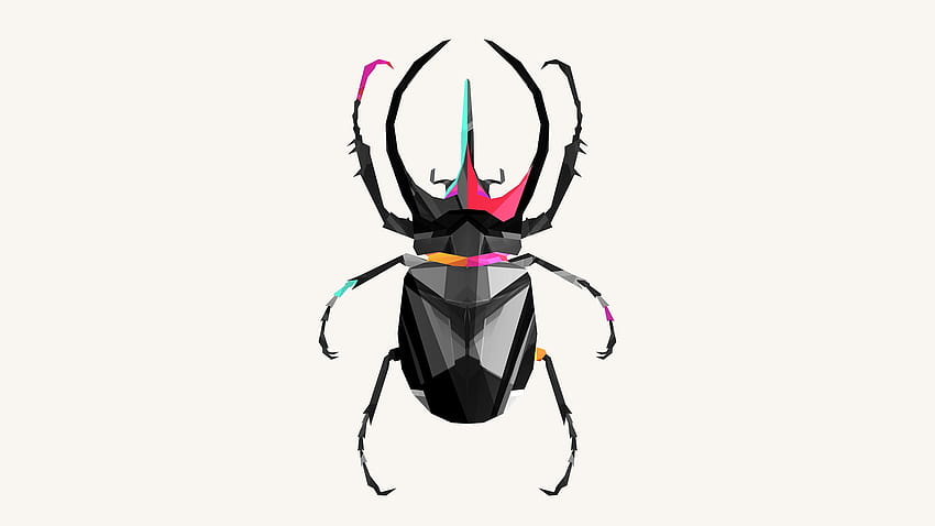 : illustration, digital art, low poly, white background, CGI, Justin Maller, pest, invertebrate, arthropod, membrane winged insect 2560x1440 HD wallpaper