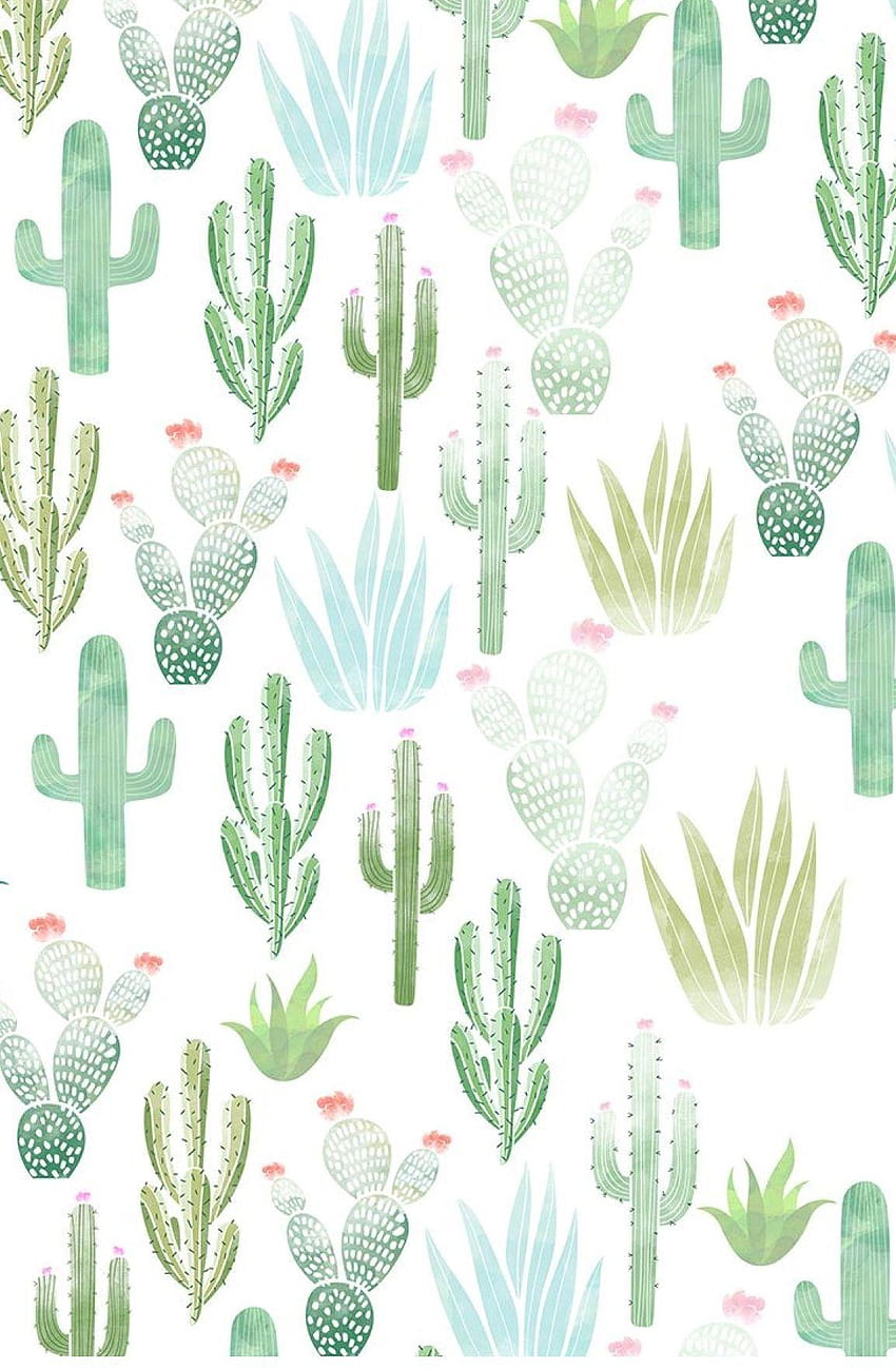 Cute Cactus colorful cactuses aesthetic HD phone wallpaper  Pxfuel