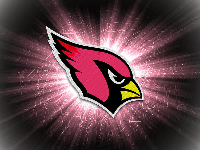 Arizona Cardinals FanArt Wallpaper! : r/AZCardinals