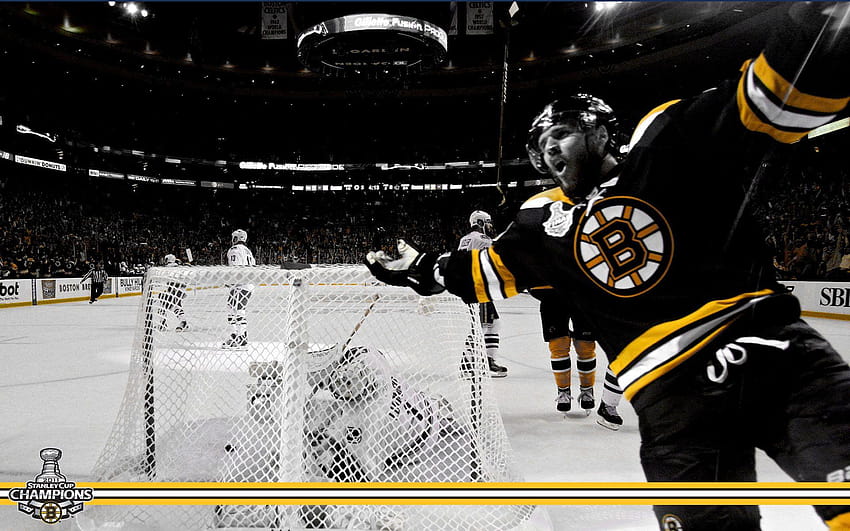 Stanley Cup Champions: David Krejci, boston bruins HD wallpaper