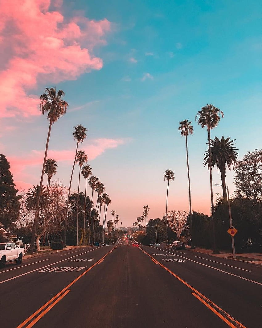 カリフォルニア州ロサンゼルスのカラフルな空とヤシの木、木のある美しい道 HD電話の壁紙